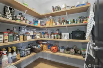 Very large walk in pantry with automatic lights that turn on when you open the door