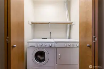 Laundry space with shelving