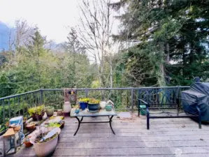 View off the deck
