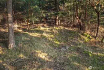 Potential building site