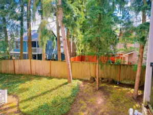 View of Common Area Greenspace from Unit