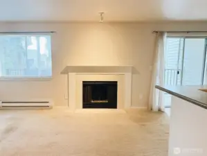 Living Room w Fireplace