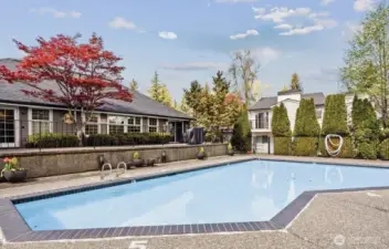 Common Area: Pool