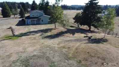 Side Yard