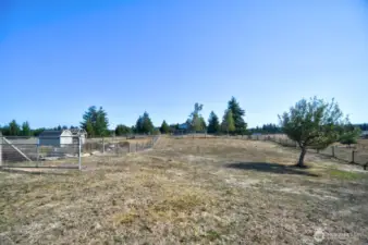 Field View