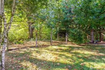 Rear garden area
