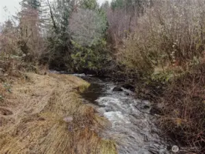 Lake creek frontage