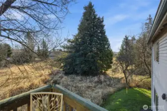 View of a field from the deck.