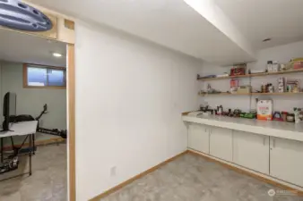 Craft/Storage/Pantry space