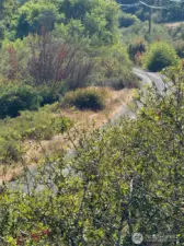 John Wayne/Iron Horse Trail, across the street!