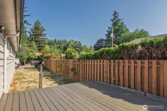Back Deck