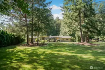 Huge level backyard perfect for games & gatherings.