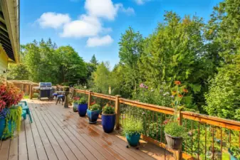 Back deck