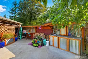 Back Patio Area