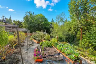 Gardener's Delight