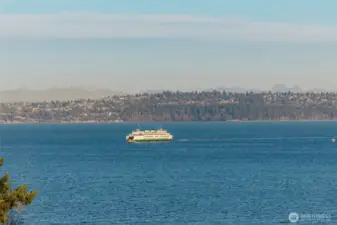 watch marine traffic