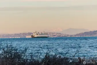View from private beach