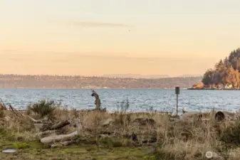 View from private beach