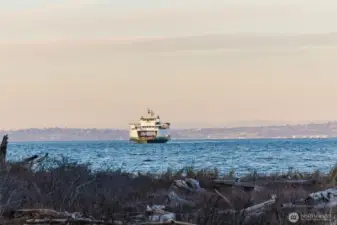 View from private beach
