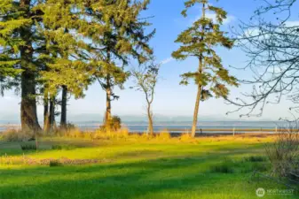 Sunrises looking toward Mt Ranier