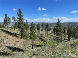 Preserve from Preserve Loop Trail