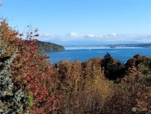 Fall view from upper deck