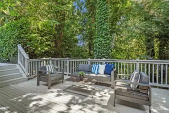 This is the sitting area just outside the family room. A gas hook up makes it the ideal spot to BBQ with ease.