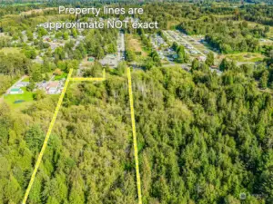 View from west forested portion of acreage viewing east to Harborview road