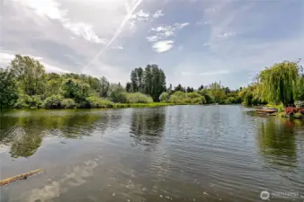 Waterview from dock