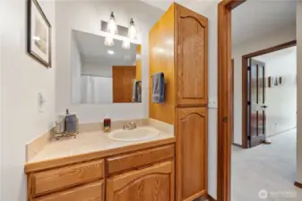 Full guest bathroom