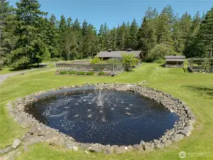 Garden area pond.