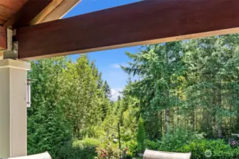 Patio with Peek-A-Boo view of Rainier