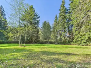 Your new Back yard