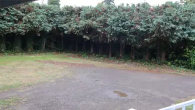 back yard is flat and rather private