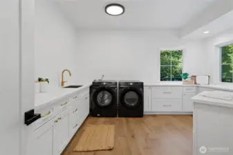 Huge Laundry Room