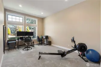 Extra insulated theater room has been prepped for projector and cat 6 cabling for gaming.  Perfect office space as well and offer storage closet.  Across the hall is the data room which is the control room for all the clearly labeleld cabling and conduit.  All wifi, security, heat exchanger and conduit comes into this space.