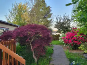 Beautiful mature landscaping, taken last spring.