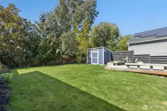 Gorgeous Magnolia tree & whole-yard sprinkler system!