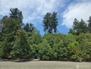 Bank to building lots