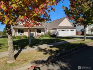 Fall colors and a nice green lawn