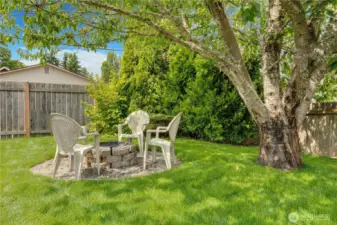 Can you imagine a summer night around the fire with friends? This is a core memory making spot for sure! The new sod extends up to this area, too!