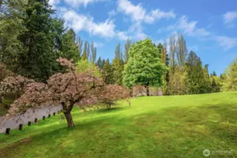 Woodland Park.  2 blocks to the North.