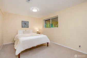 Additional lower level bedroom