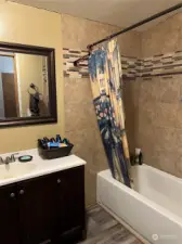 Owner's Suite   bathroom.