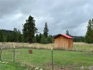 Back yard with wood shed