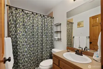 Main level guest bathroom