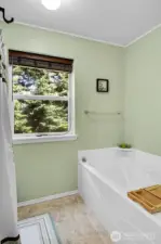 Primary Bedroom's Soaking Tub!