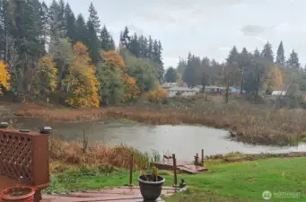 Fall 2025 Waterfront Shoreline