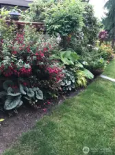 flowering gardens in summer