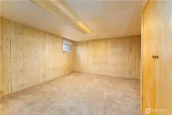 Lower level bedroom.